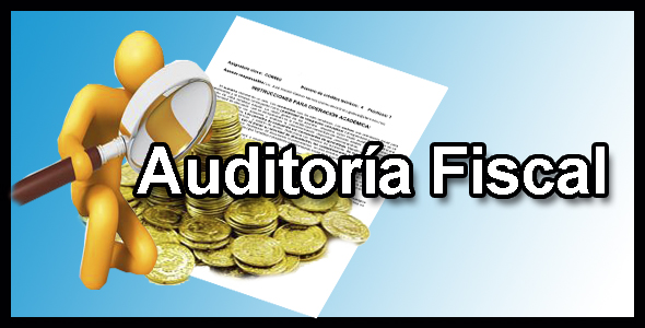 F1113 Auditoría Fiscal