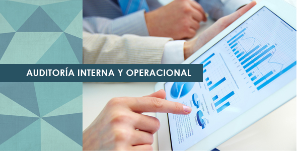 F1114 - Auditoria Interna y Operacional