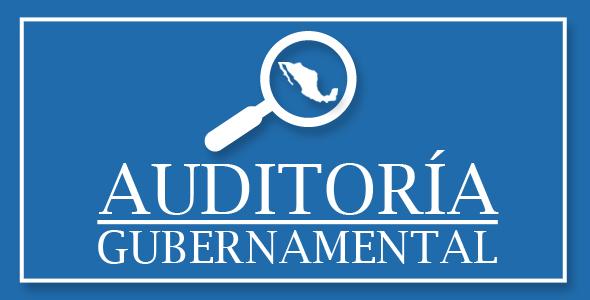 F1045 Auditoría Gubernamental